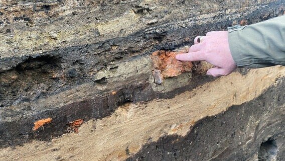 Eine Hand zeigt auf einen Ziegelstein in einem Ausgrabungsfeld, das im Querschnitt verschiedene Erdschichten sichtbar macht. © NDR Foto: Kerry Rügemer