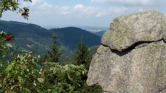 Ein Blick von einem Berg im Harz ins Tal. © Regionalverband Harz Foto: Klaus George
