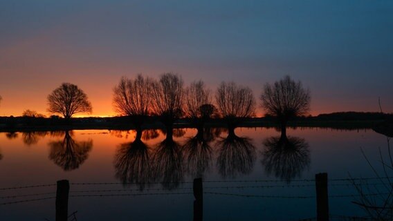 Weiden spiegeln sich in einem Gewässer in der Morgensonne. © NDR Foto: Dirk Langrehr-du Mont