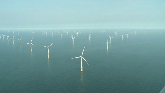 Offshore-Windenergie. © NDR 