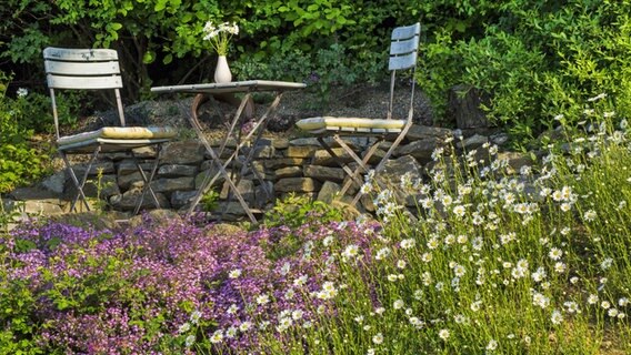 Zwei Stühle und ein Tisch im Garten, davor wild wachsende Blumen © imago images / blickwinkel 